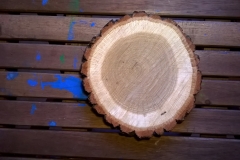 Wooden Tree Desk before